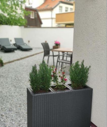 Regiohotel Germania Am Kurpark 巴特哈尔茨堡 外观 照片