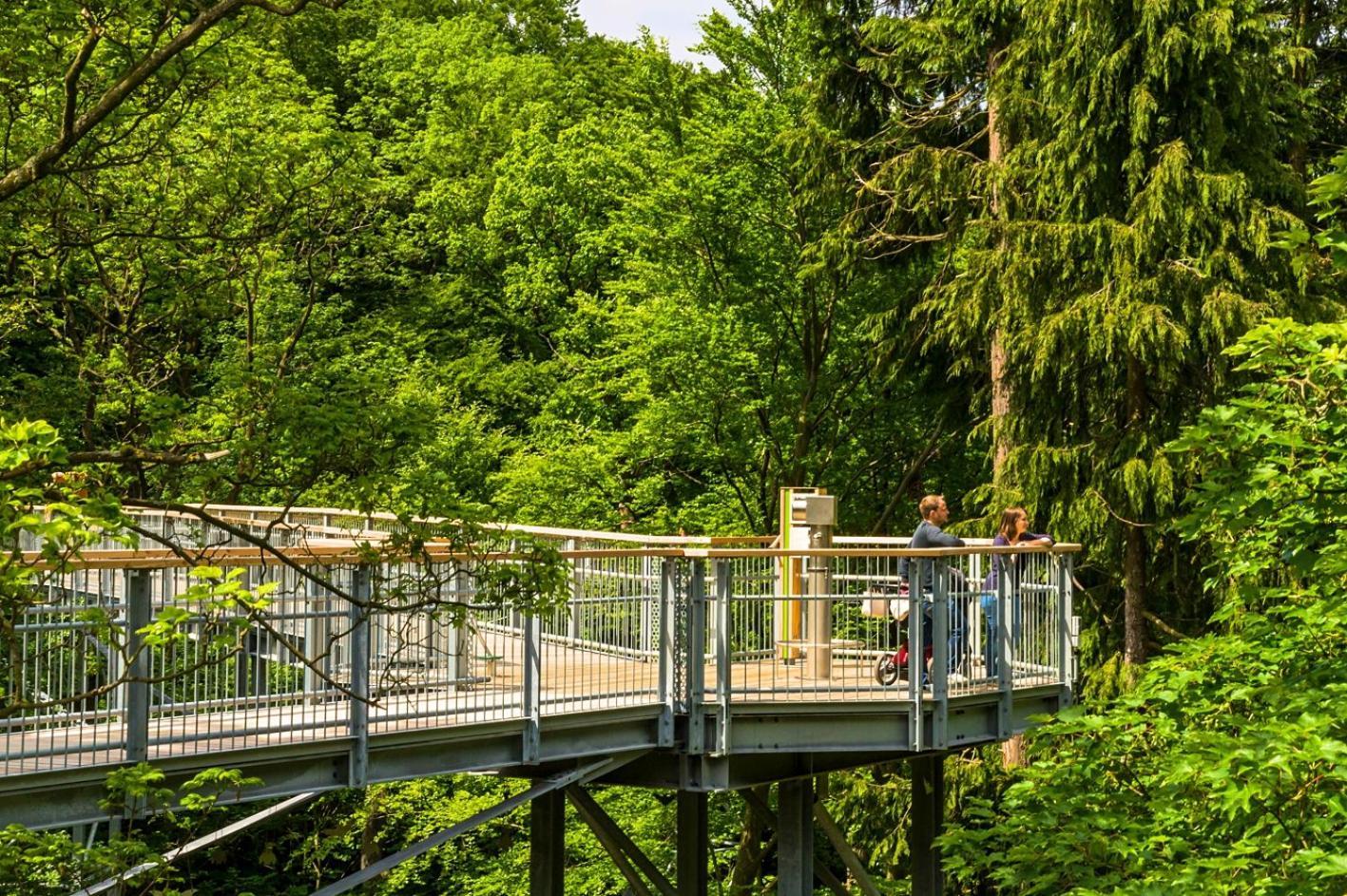 Regiohotel Germania Am Kurpark 巴特哈尔茨堡 外观 照片